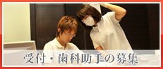 受付・助手の募集